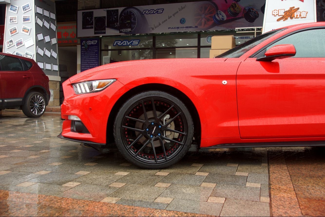 Facewheels FWD-202 新野馬