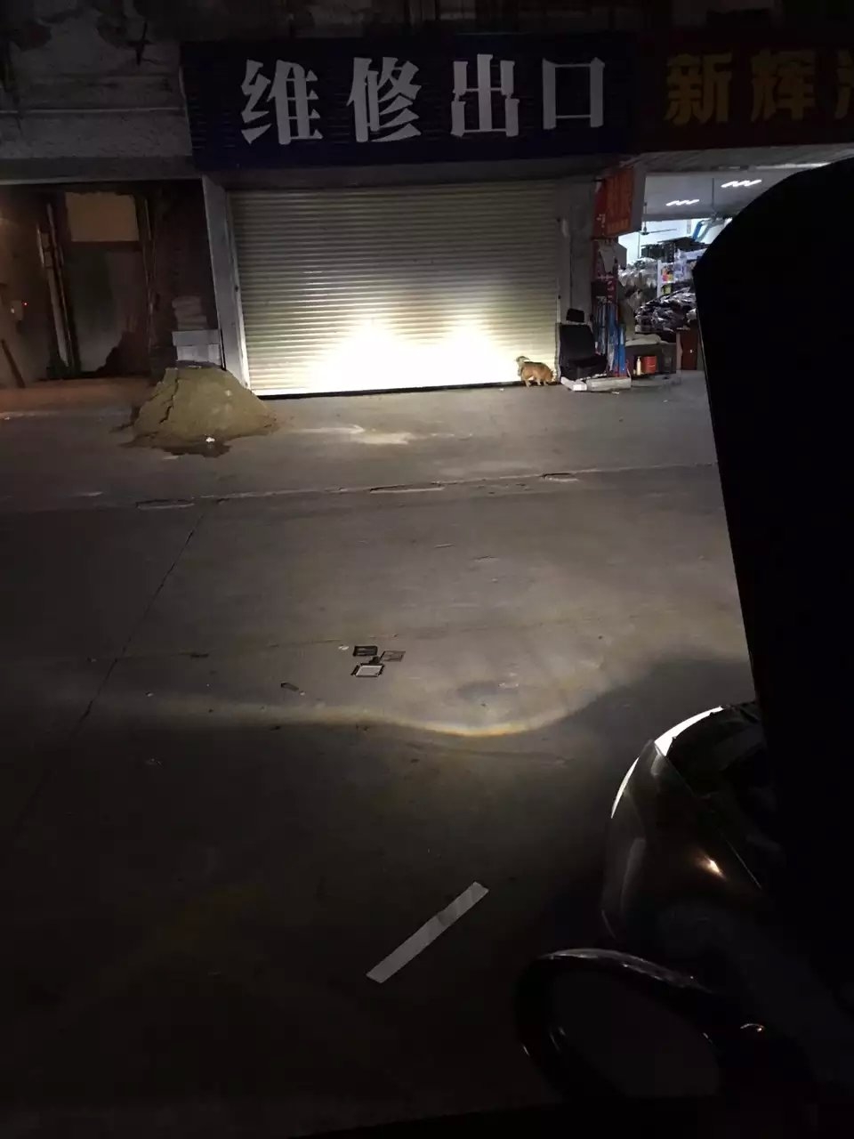 邁騰隨動款燈光升級q5透鏡