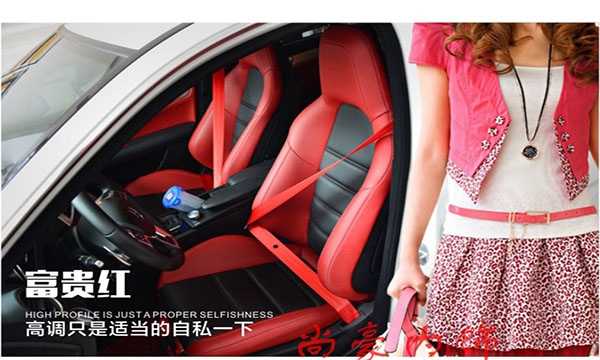 德國(guó)Berger汽車彩色安全帶
