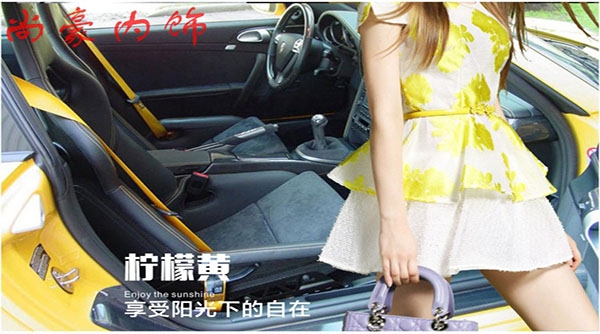 德國(guó)Berger汽車彩色安全帶