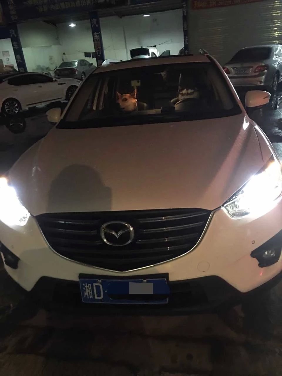 馬自達(dá)cx5燈光升級德國海拉5雙光透鏡   深圳光速車改改燈