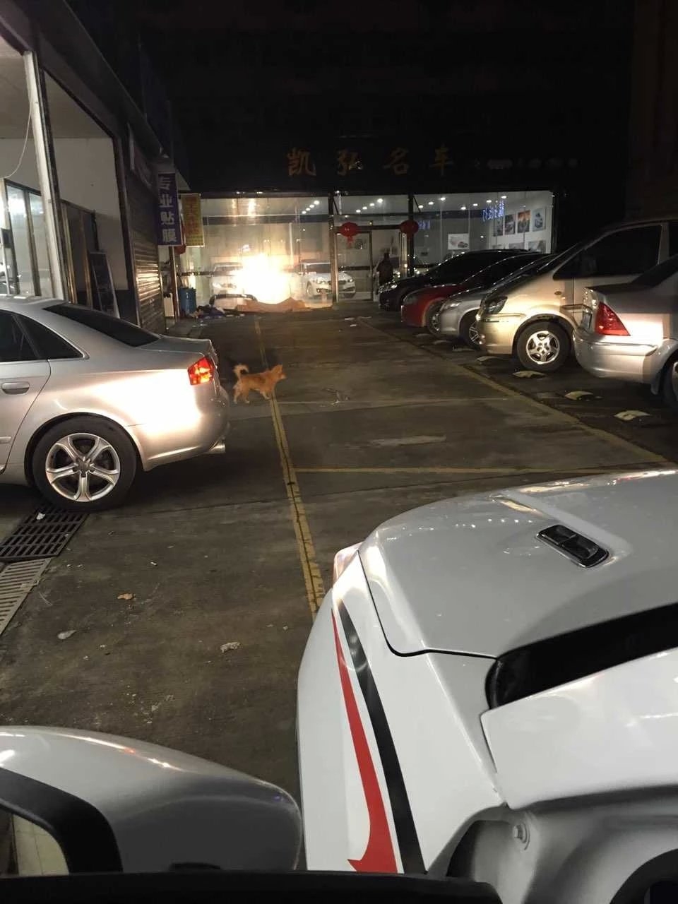 長安燈光升級(jí)q5雙光透鏡    深圳光速車改改燈