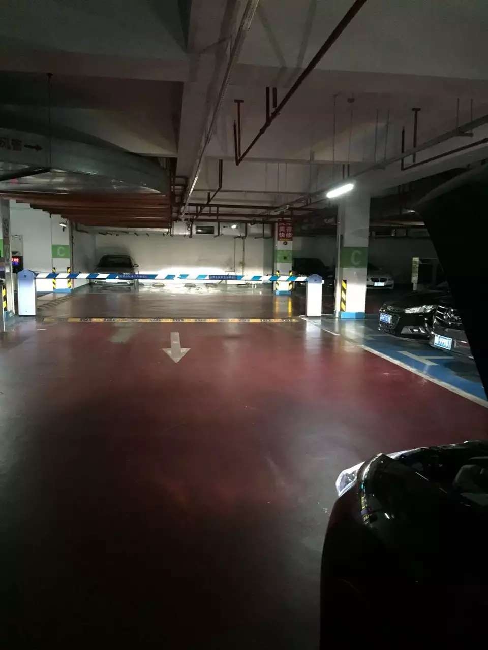 新車(chē)新奇駿改裝德國(guó)海拉5雙光透鏡   深圳光速車(chē)改改燈