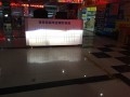 IMG_2555