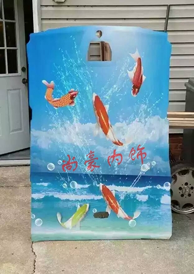 汽車個性頂棚