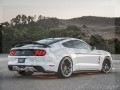 新野馬GT350 (2)