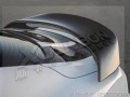 新野馬GT350 (1)