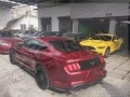 新野馬06