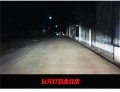 甲殼蟲(chóng)_15