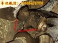 IMG_9895_conew1