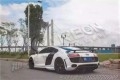 R8改Regula包圍尾翼 (6)