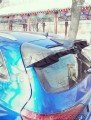 奧迪Q5機(jī)蓋尾翼 (3)