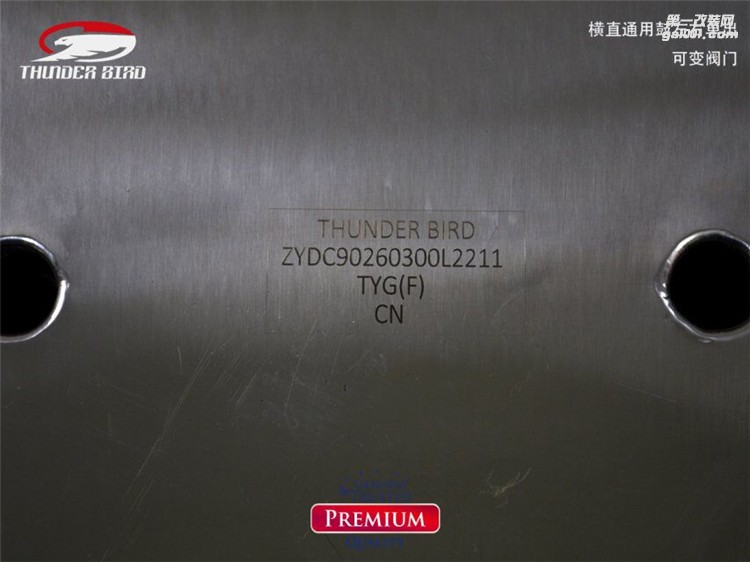 Thunder bird雷鳥 通用型 排氣管 閥門排氣