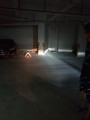 QQ圖片20170622110811_副本