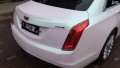 凱迪拉克CT6 CYS幻彩曙光白 MG05 汽車改色貼膜 18611722254 (58)
