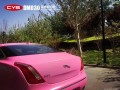捷豹XJL CYS亞光鉆石粉 DM030 汽車改色貼膜 18611722254 (1)