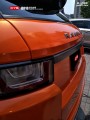 路虎極光 CYS鉆石金橙 D010 汽車改色貼膜 18611722254 (3)