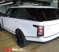 路虎 CYS鉆石白粉 D080 汽車(chē)改色貼膜 18611722254 (7)