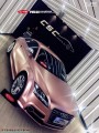 奧迪TT CYS電光金屬玫瑰金 PM030 汽車改色貼膜 1861172254 (5)