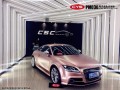奧迪TT CYS電光金屬玫瑰金 PM030 汽車改色貼膜 1861172254 (9)