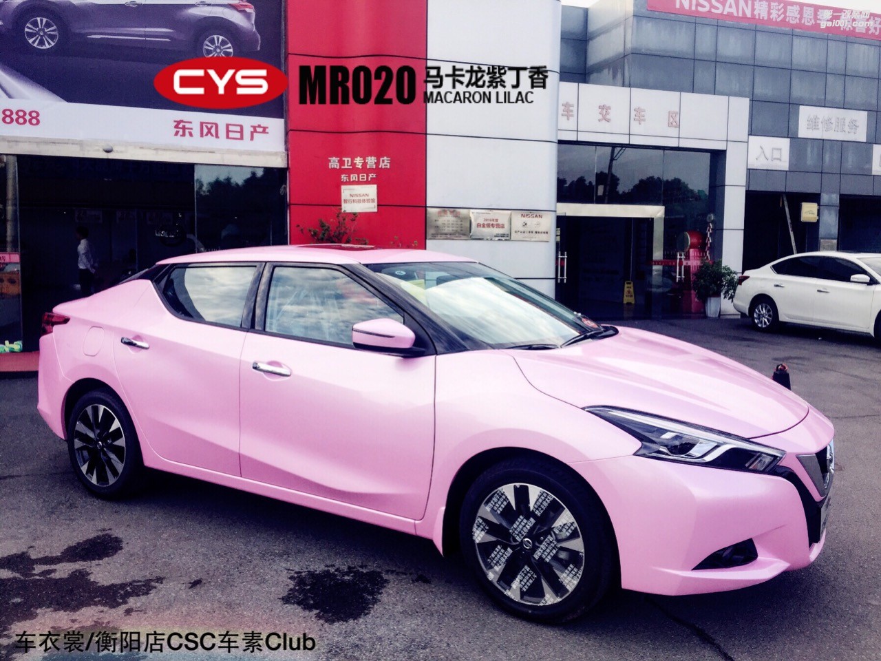 CYS馬卡龍車身改色膜 車衣裳MR020紫丁香改色膜