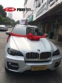 寶馬X6 CYS鐳射白 PR00 汽車改色膜