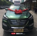 現(xiàn)代全新勝達(dá) CYS鉆石魅金 汽車改色貼膜