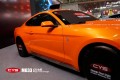 福特野馬 CYS幻彩金橙 MG33 汽車(chē)改色貼膜 18611722254 (8)