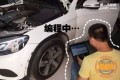 捕獲