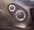 照片 217