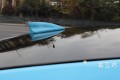 IMG_2726