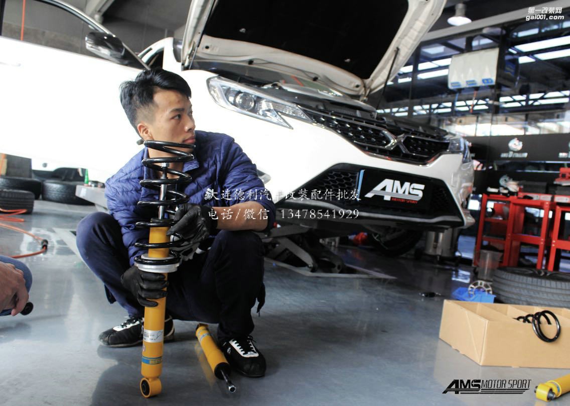 銳志改裝倍適登避震代理BILSTEIN B12