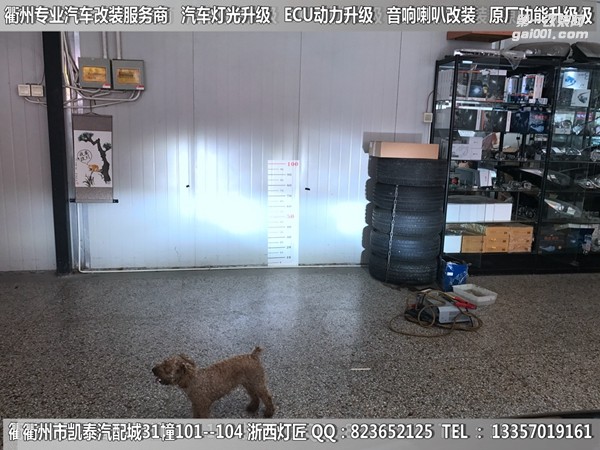 衢州天籟大燈改裝海拉5雙光透鏡