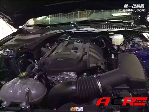 【酷拽】福特野馬 2.3T 刷ecu動力升級 永不止息的腳步！
