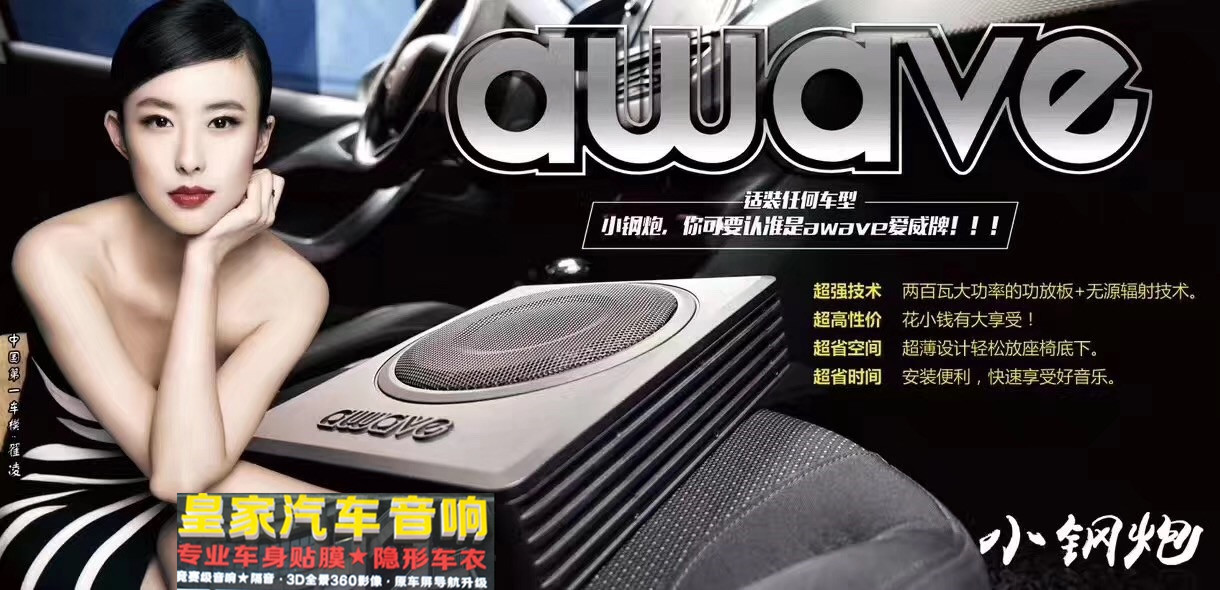 斯柯達(dá)明銳裝愛威小鋼炮——郴州市皇家音響