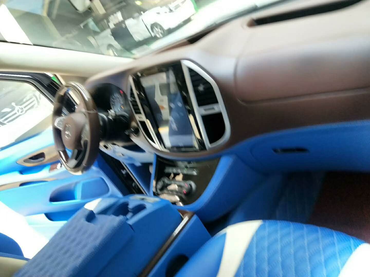 奔弛高頂商務(wù)車(chē)--藍(lán)色土耳其