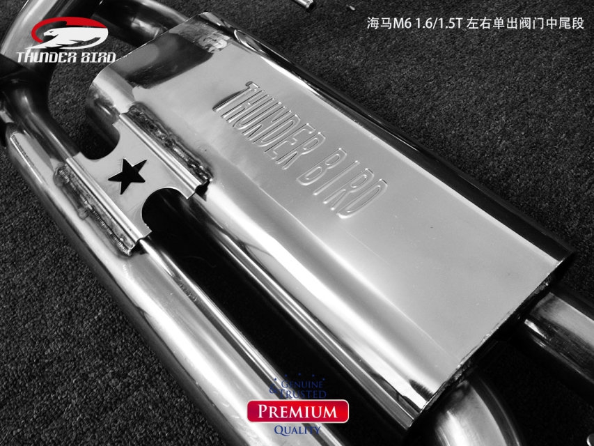 雷鳥排氣 海馬M6 16 15T 改裝排氣左右單出遙控閥門中尾段