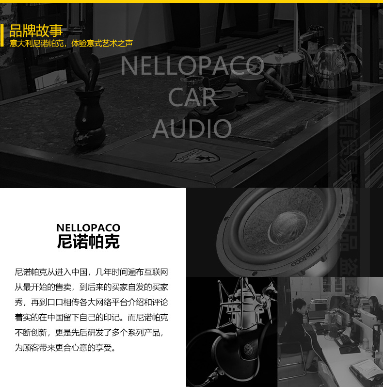 武汉 前沿车改 尼诺帕克N1.2S两分频套装喇叭