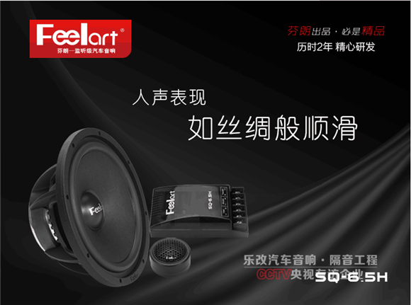 武昌徐東福特銳界汽車音響改裝升級，樂改大師店