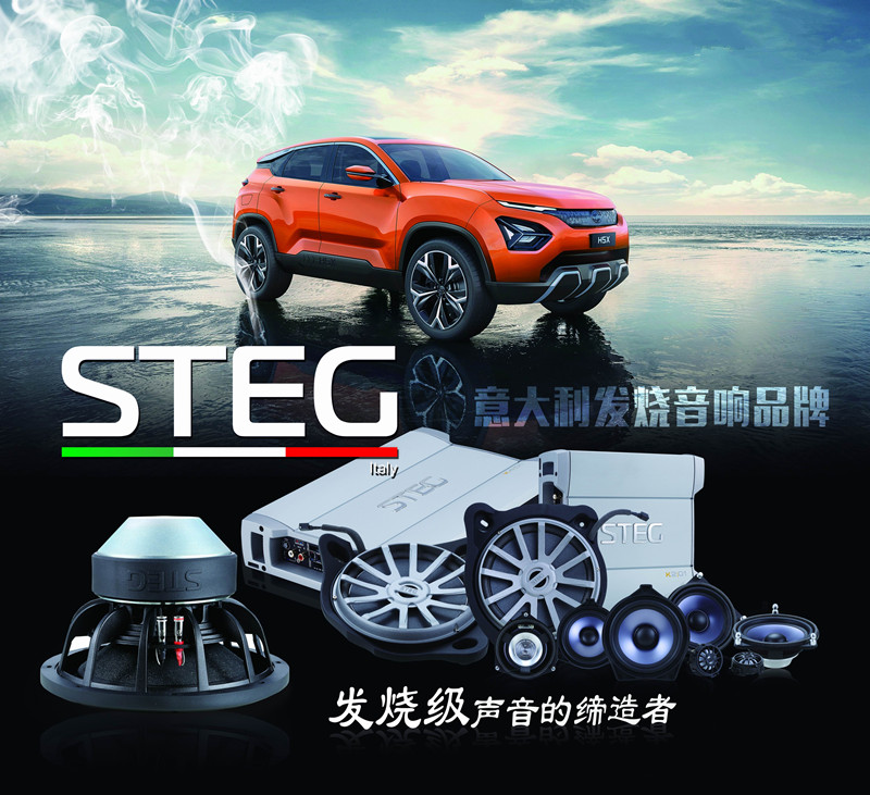 重慶渝大昌汽車音響改裝之意大利STEG史泰格奔馳專車專用八寸低音BZW80L/80R
