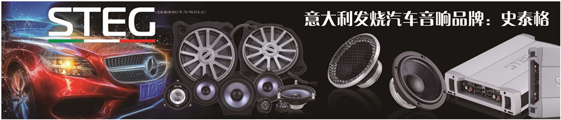 重慶渝大昌汽車音響改裝之意大利STEG史泰格奔馳專車專用八寸低音BZW80L/80R