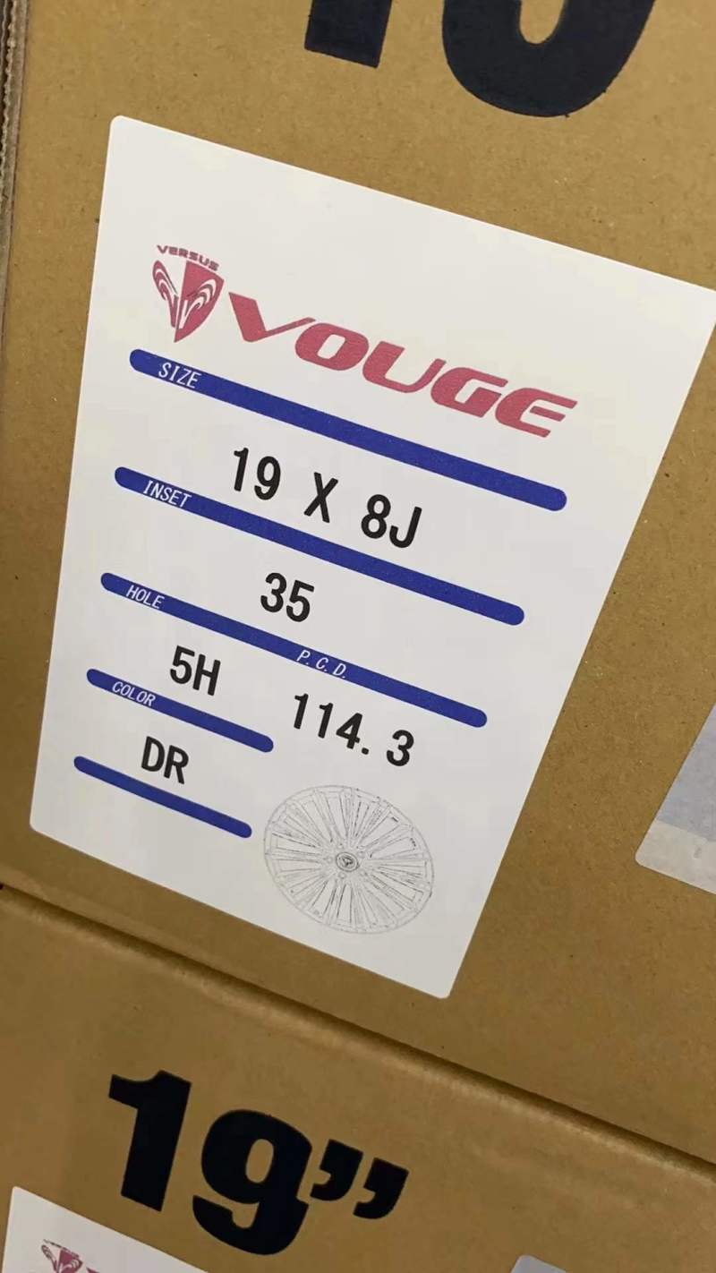Rays vouge 拉絲電鍍色 DR，全新# 19寸