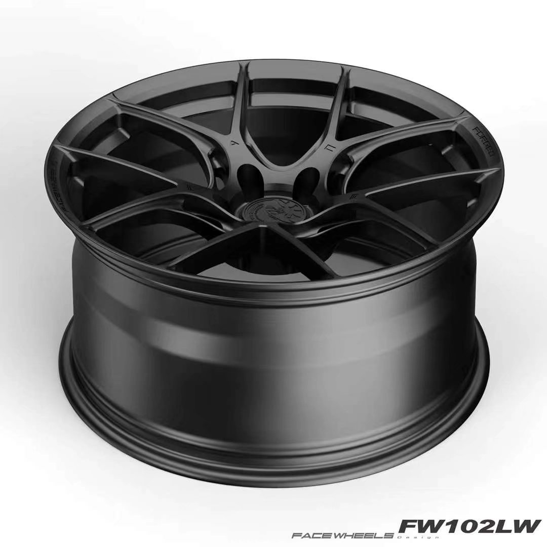 這兩天被問及的最強單品 Facewheels FW102-LW